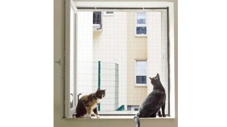 Proyecto nuevo – 2025-05-11T191932.189